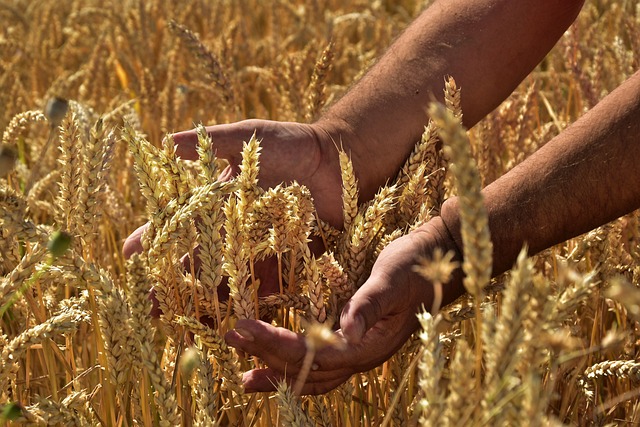 FARMERS' PROTESTS