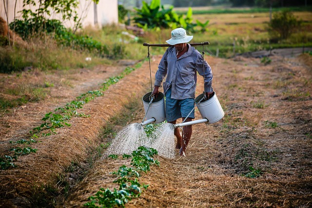 farmers' protests