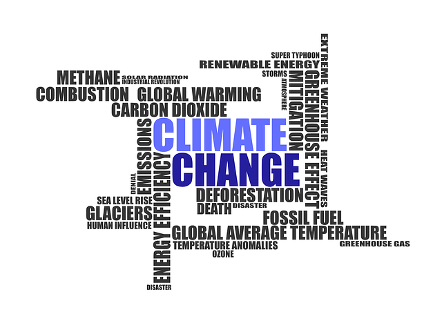 Essay on climate change
